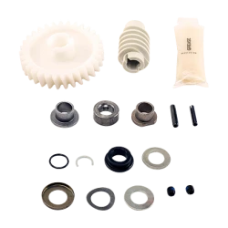 Chamberlain Genuine Drive Gear and Worm Kit - 041A2817-6P 